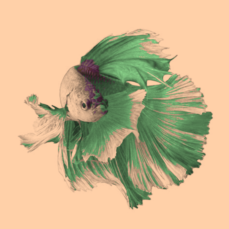 The above image, but with value (brightness) retained. It has photorealistic greyscale shading over flat colours
