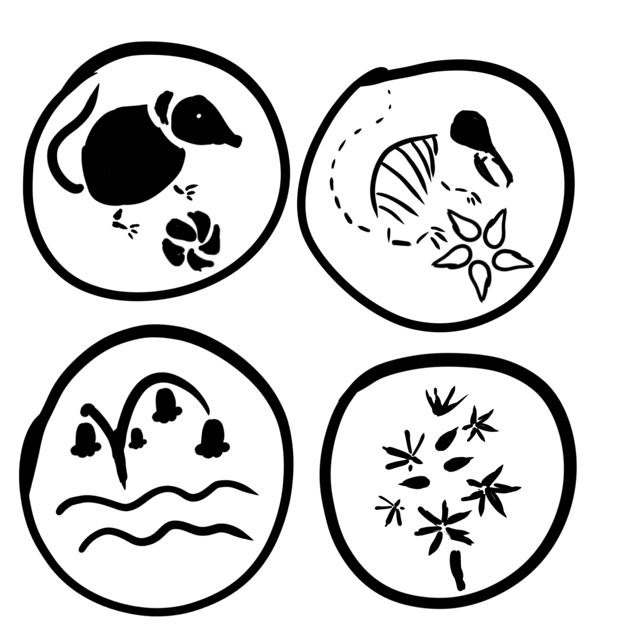 Digital sketches of four button designs. The bottom left is the sihouette of a bluebell flower standing over simple lines representing water, the bottom right shows the star-shaped flowers of a head of wild garlic and the top two are a silhouette design of a water shrew lying next to a flower. On the left the shrew is whole and the flower is a bud, but on the right the shrew is a skeleton and the flower is blooming.