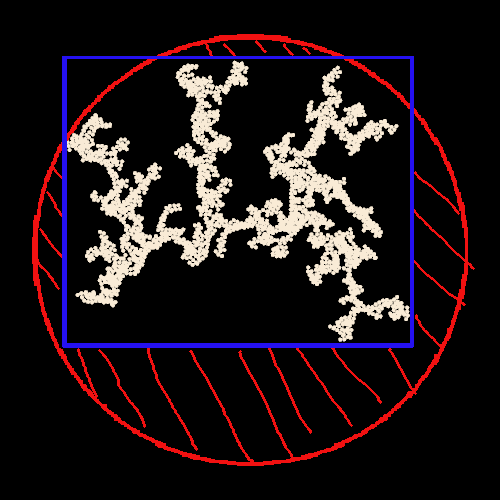 A diagram of a large, dense lichen-like shape. There's a circle drawn around it in red that has a lot of empty space. There is also a blue rectangle drawn around it that fits the shape much closer.