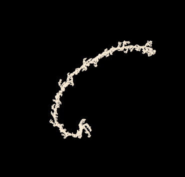 A dense lichen-like shape with several arms, one that stretches up in a long, thin, golden ratio-like spiral.