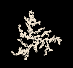 A dense lichen-like shape made out of many branching arms. The arms all curve slightly in a clockwise direction.