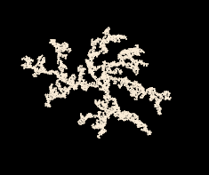 A dense lichen-like shape made out of many branching arms. The arms might be curving in one direction above others.