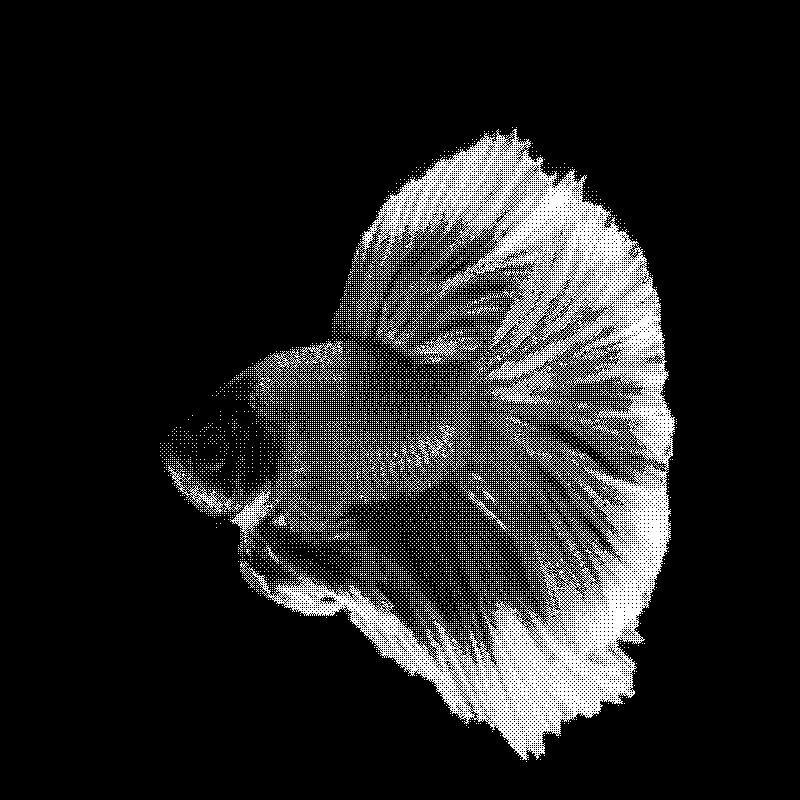 A photo of a betta fish that has had a black and white dithering effect on it, creating the impression of complex shades of light and dark with only two colours
